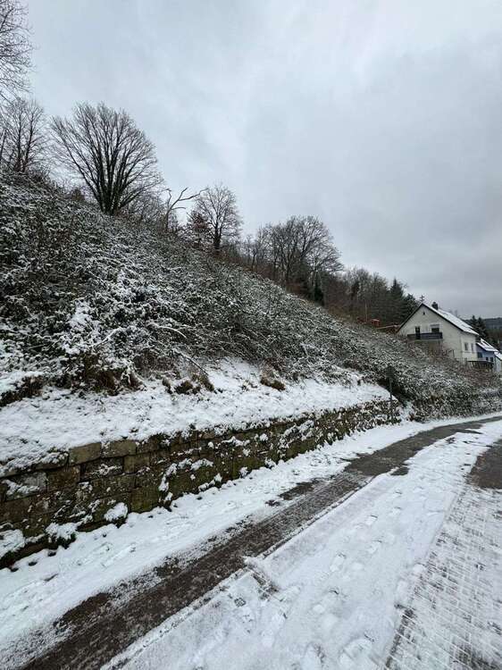 Grundstück zu verkaufen in Weidenthal 158.000 € 2030 m²