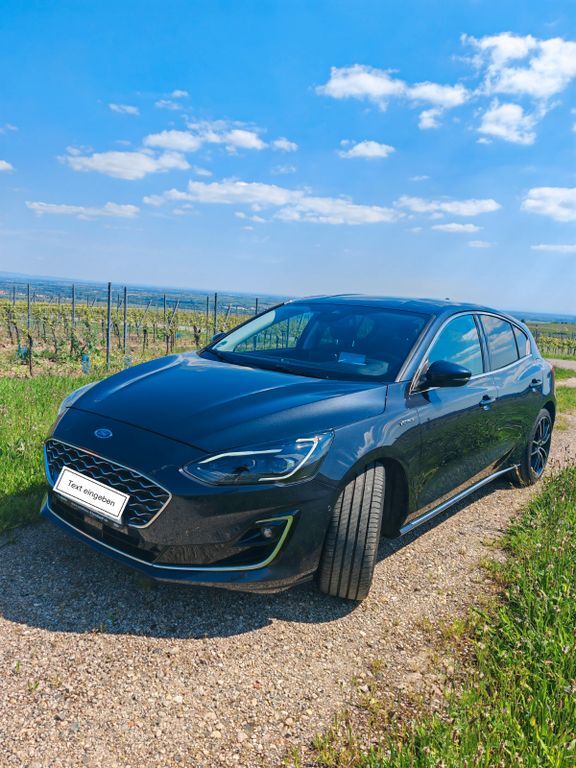 Ford Focus 50.000 km 18.600 € Weisenheim am Berg 67273