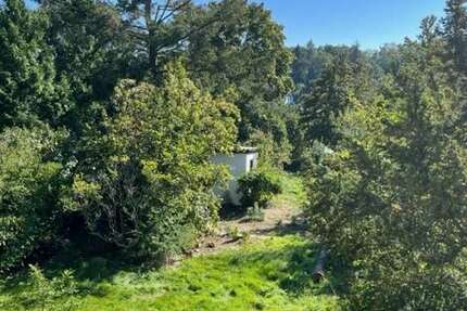 Haus Bad Dürkheim - 5 Zimmer, 112 m&sup2;, 550.000&euro; | Angebot:25529848