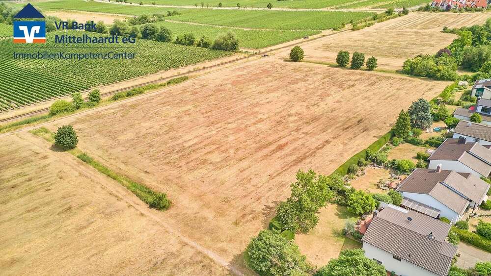 Grundstück Wachenheim - 311.850&euro; | Angebot:21479233