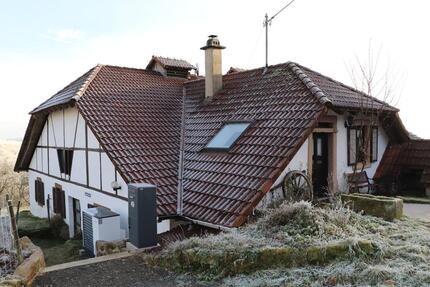 Wohnung für Natur- und Tierliebhaber in Eulenbis 6 zimmer