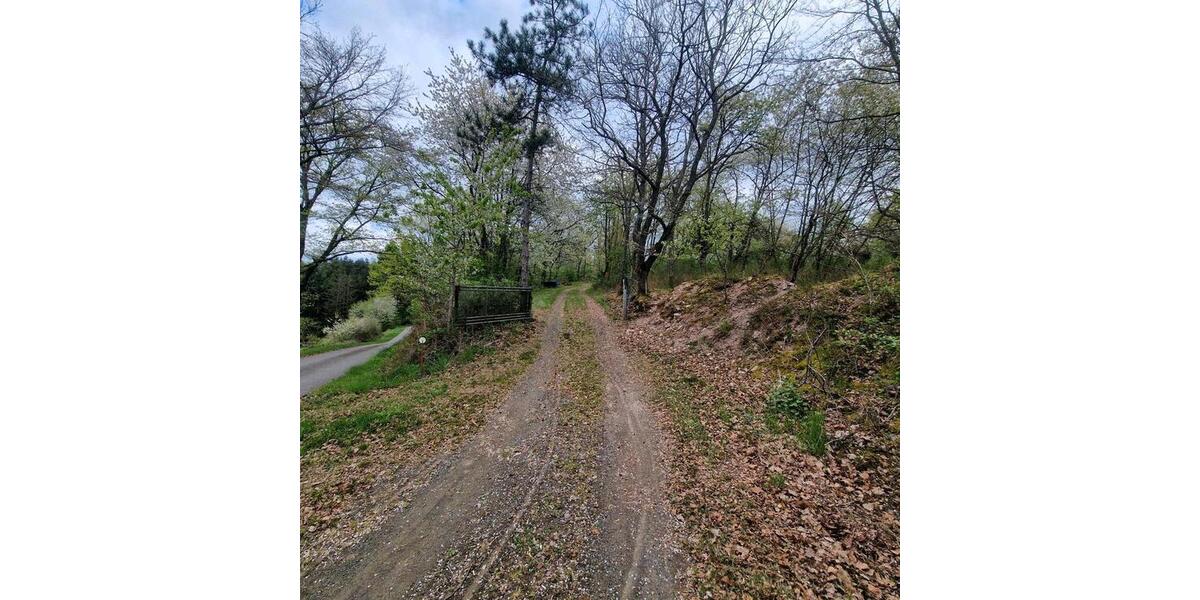 Einfamilienhaus Winnweiler - 2 Zimmer, 80 m&sup2;, 285.000&euro; | Angebot:25614200