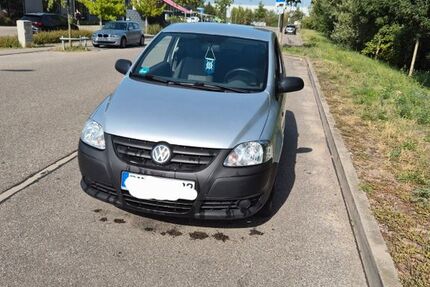 VW Fox