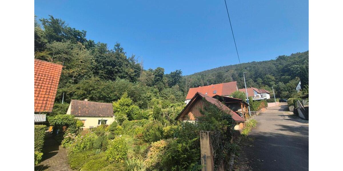 Doppelhaushälfte Lambrecht (Pfalz) - 290.000&euro; | Angebot:26708701