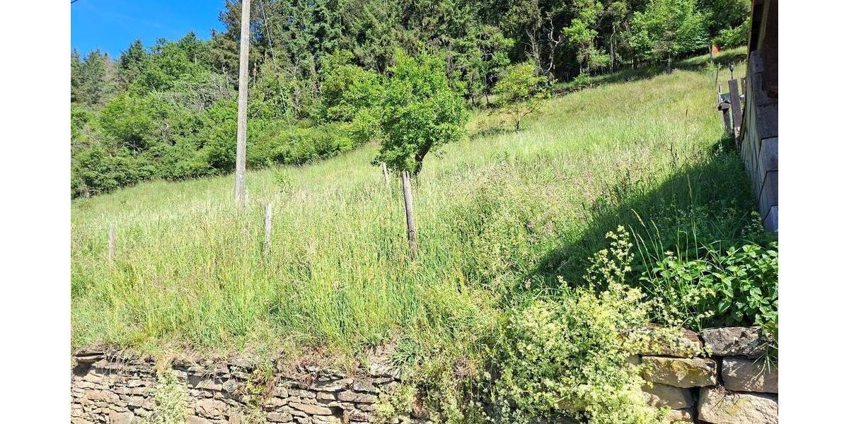 Grundstück Schmittweiler - 39.000&euro; | Angebot:26798430
