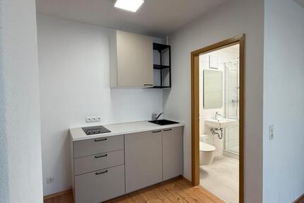 1-Zimmerwohnung Studio mit Balkon kernsaniert- Nähe RPTU 1 zimmer