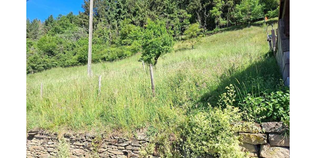 Grundstück Schmittweiler - 39.000&euro; | Angebot:26744651