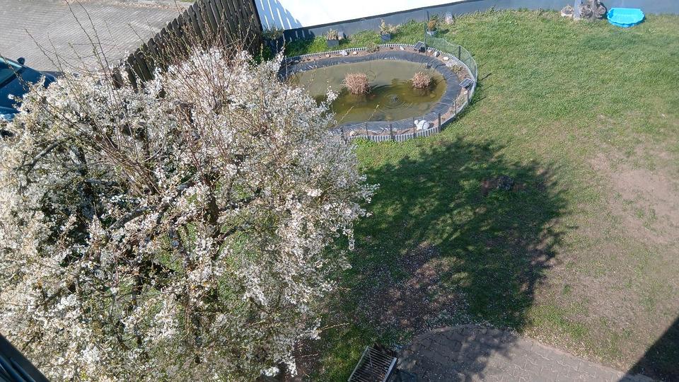 Etagenwohnung Bruchmühlbach-Miesau Miesau - 2 Zimmer, 90 m&sup2;, 950&euro; | Angebot:26179231