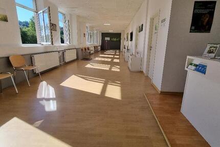 Wohnung Waldfischbach-Burgalben Burgalben - 6 Zimmer, 328 m&sup2;, 1.476&euro; | Angebot:18356784