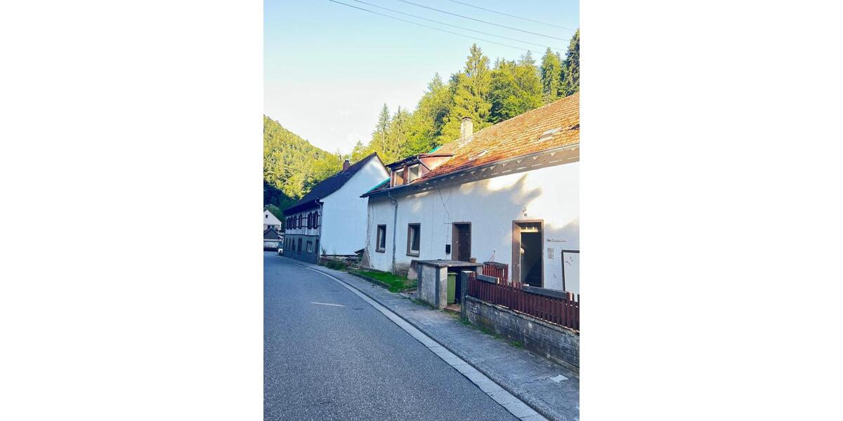 Doppelhaushälfte Elmstein - 7 Zimmer, 180 m&sup2;, 90.000&euro; | Angebot:24388189