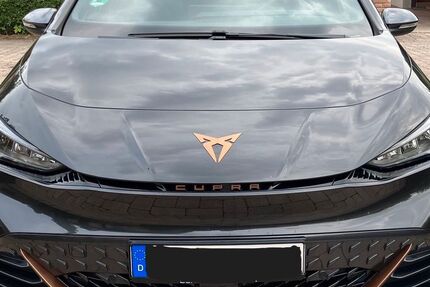 Cupra Born 28.900 km 25.900 € Carlsberg 67316