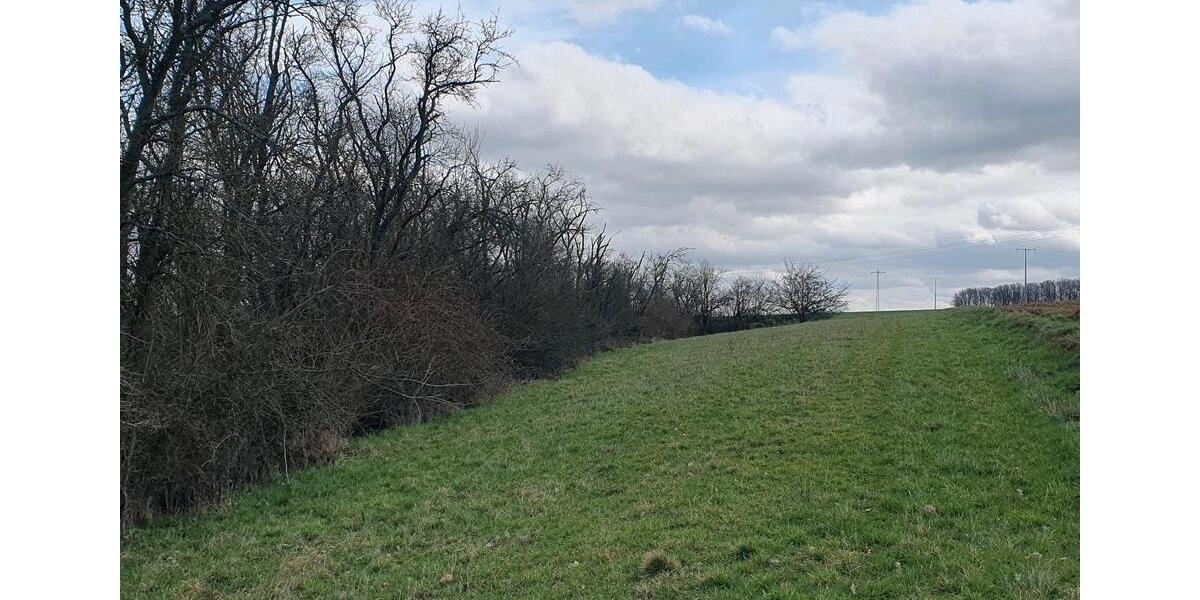 Grundstück Winnweiler - 7.900&euro; | Angebot:25381392