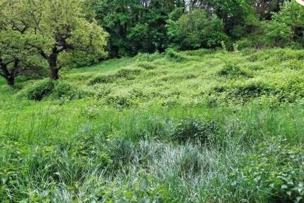 Grundstück Dannenfels - 99.500&euro; | Angebot:20684773