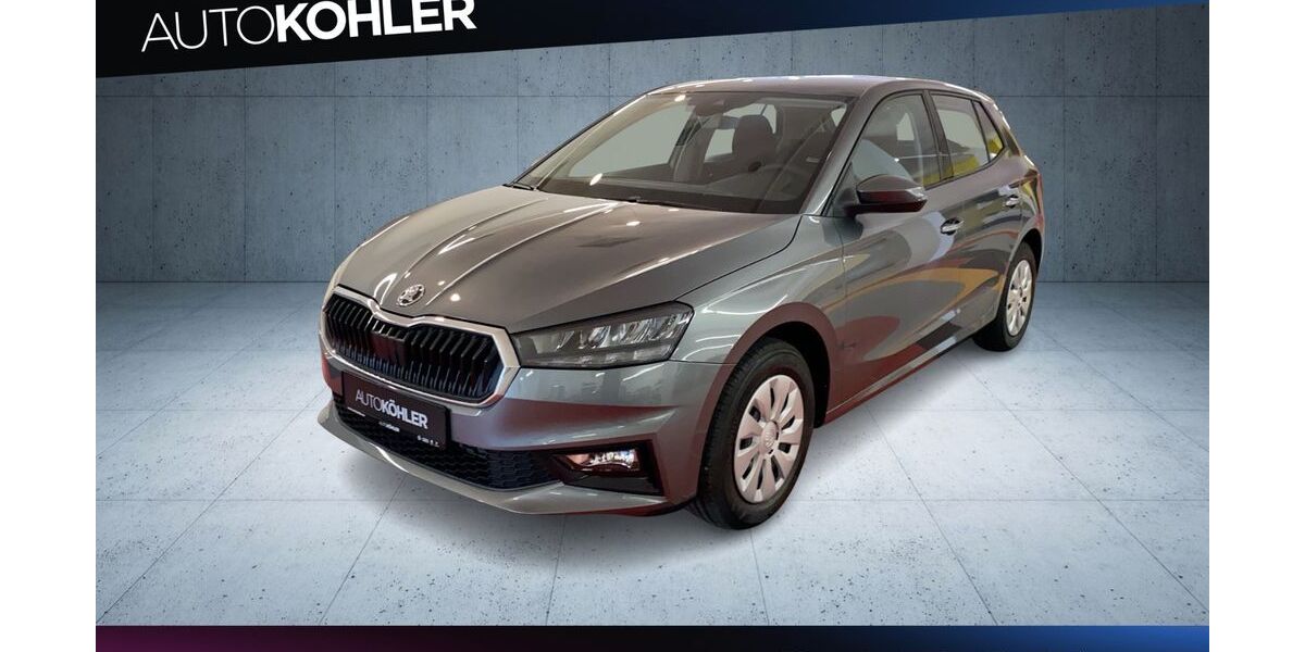 Skoda Fabia 1.017 km 21.900 € Bad Dürkheim 67098