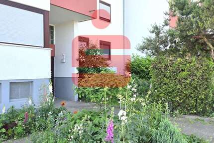 Wohnung Bad Dürkheim - 1 Zimmer, 31 m&sup2;, 99.500&euro; | Angebot:26829242