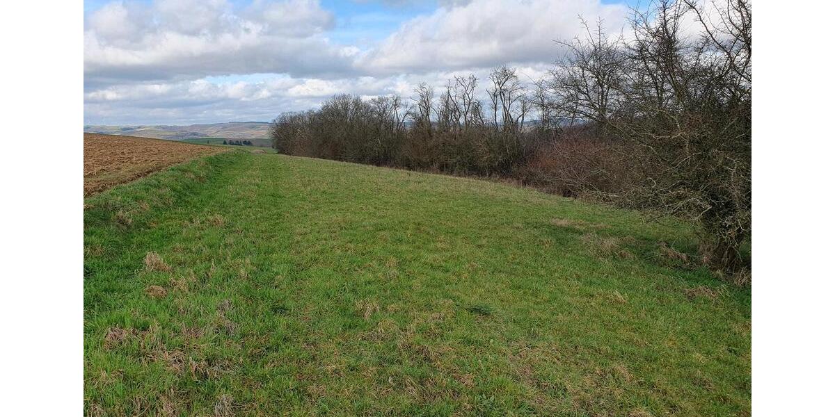 Grundstück Winnweiler - 7.900&euro; | Angebot:25381392