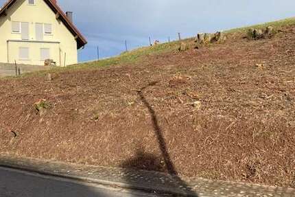 Grundstück zu verkaufen in Schneckenhausen 27.990 € 622 m² zimmer