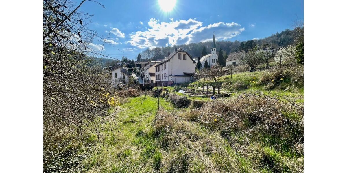 Provisionsfrei* Wunderschöne, komplett renovierte 140qm Altbauwohnung nahe Neustadt mit Garten - 5- Frankeneck bei Neustadt | Angebot:25908495