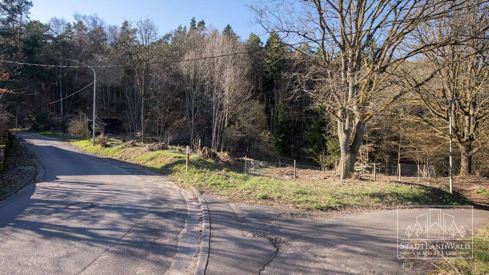 Grundstück Elmstein Schafhof - 165.000&euro; | Angebot:26155236