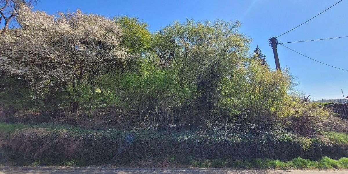 Grundstück zu verkaufen in Nußbach 32.000 € 941 m² zimmer