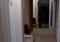 2-Zimmer Wohnung in EG ( nicht Barrierefrei)
