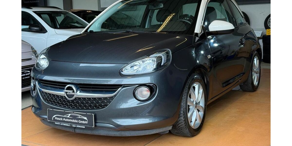 Opel Adam 76.800 km 8.490 &euro; Bad Dürkheim 67098