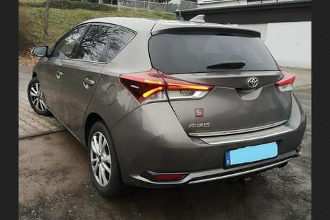 Auris