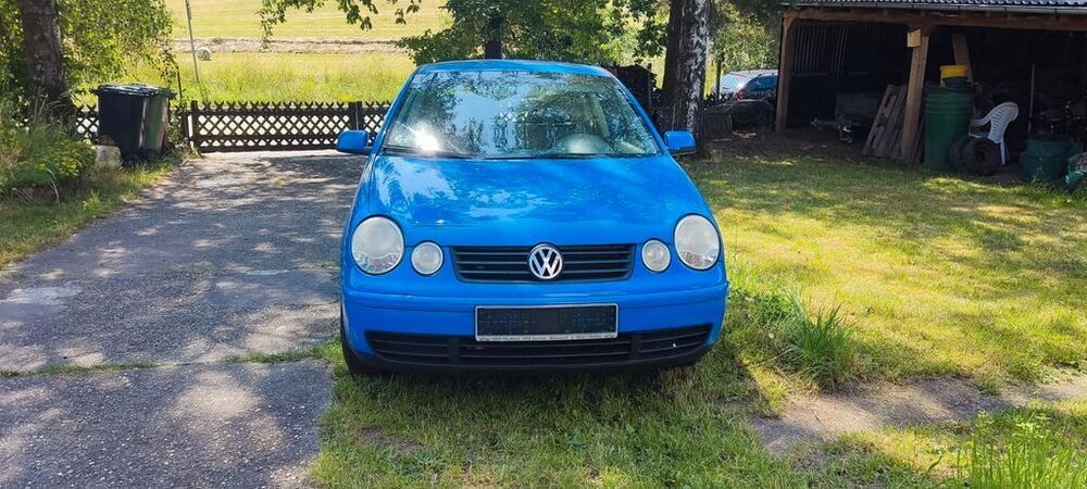 Polo
