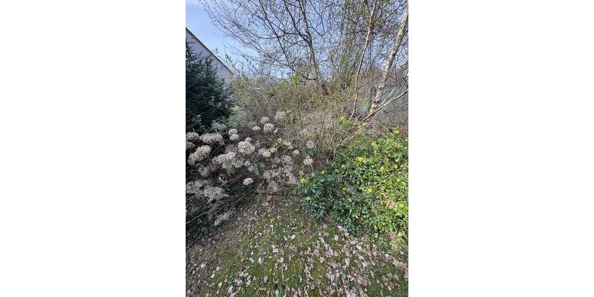 Grundstück Kaiserslautern Dansenberg - 112.500&euro; | Angebot:25912952