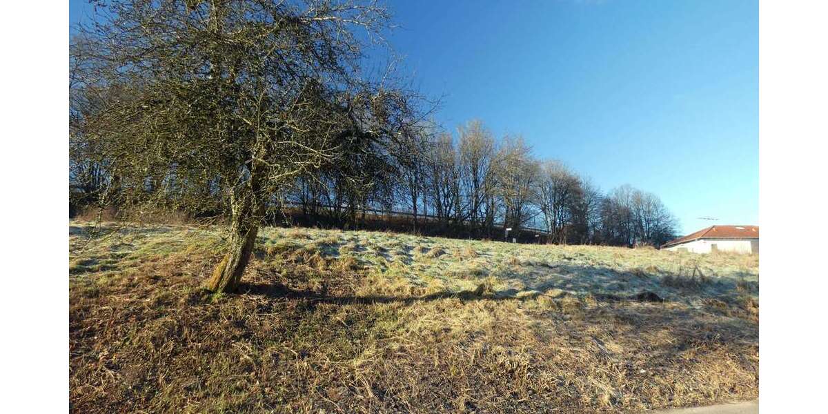 Grundstück zu verkaufen in Weselberg 75.000 € 680 m² zimmer