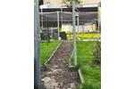 Einfamilienhaus Steinbach am Donnersberg - 6 Zimmer, 121 m&sup2;, 109.000&euro; | Angebot:26581829