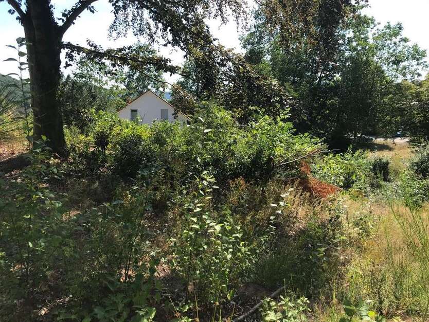 Grundstück zu verkaufen in Homburg 588.000 € 2453 m²