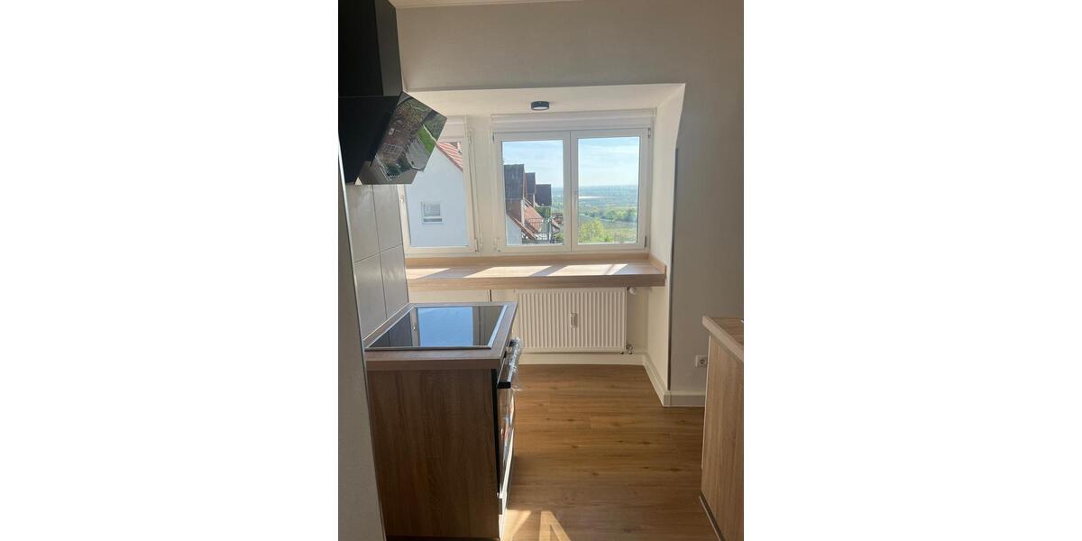 Dachgeschoss Wohnung in Neustadt an der Weinstraße 1.5 zimmer