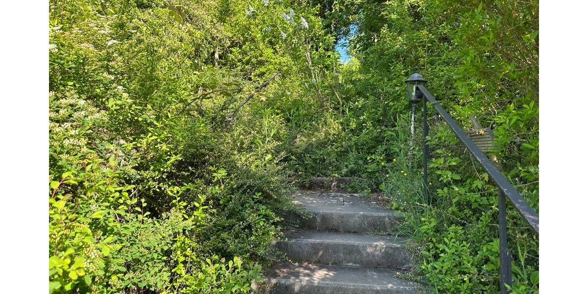 Einfamilienhaus Eisenberg / Steinborn Steinborn - 4 Zimmer, 120 m&sup2;, 225.000&euro; | Angebot:25680365