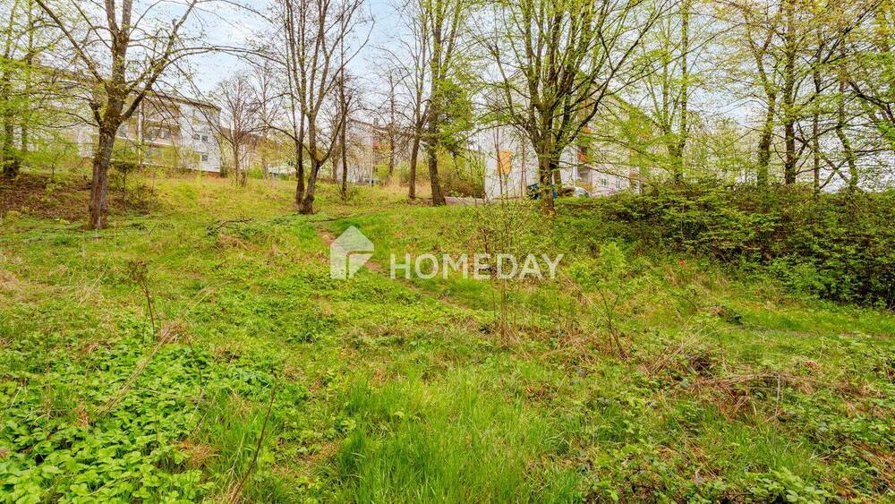Etagenwohnung Pirmasens Innenstadt - 3 Zimmer, 69 m&sup2;, 79.000&euro; | Angebot:26834072