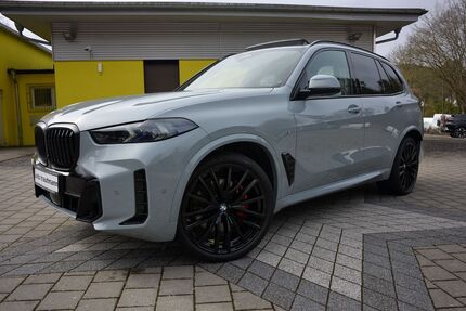 BMW X5 4.450 km 100.000 &euro; Kaiserslautern - Hohenecken 67661