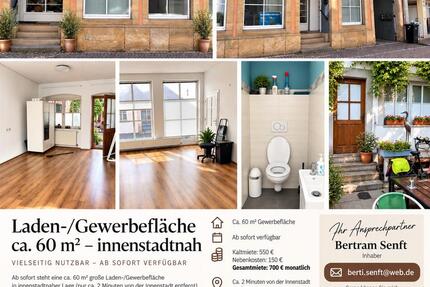 Wohnung Bad Dürkheim - 1 Zimmer, 60 m&sup2;, 550&euro; | Angebot:27569435