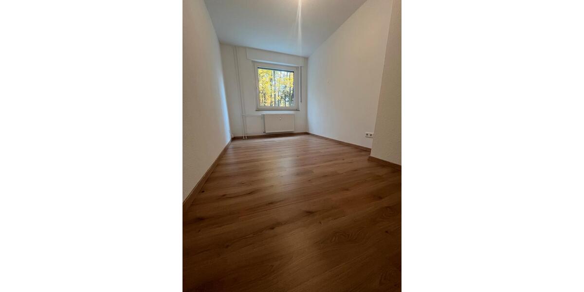 Frisch renovierte 3-Zimmer-EG-Wohnung mit Terrasse provisionsfrei 3 zimmer