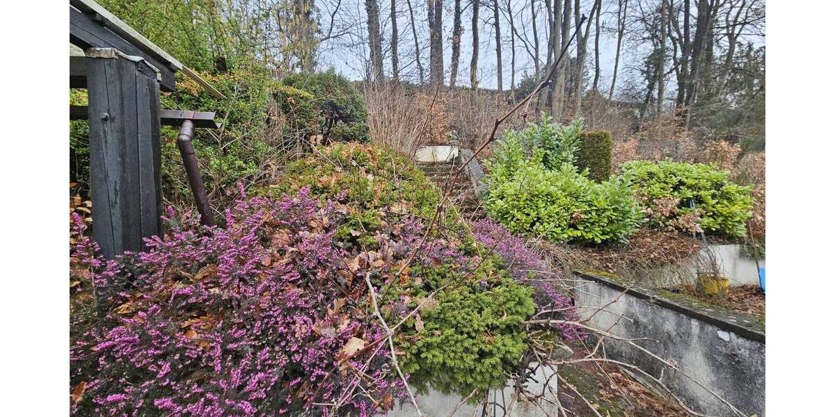 Mehrfamilienhaus, Wohnhaus Kaiserslautern Innenstadt - 5 Zimmer, 210 m&sup2;, 243.000&euro; | Angebot:26161159