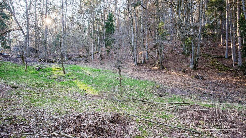 Grundstück Elmstein Schafhof - 165.000&euro; | Angebot:26155236