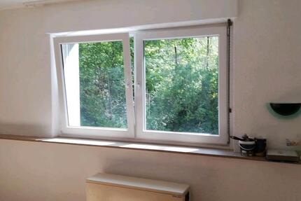 Wohnung Kaiserslautern Bahnheim - 1 Zimmer, 25 m&sup2;, 390&euro; | Angebot:26247741