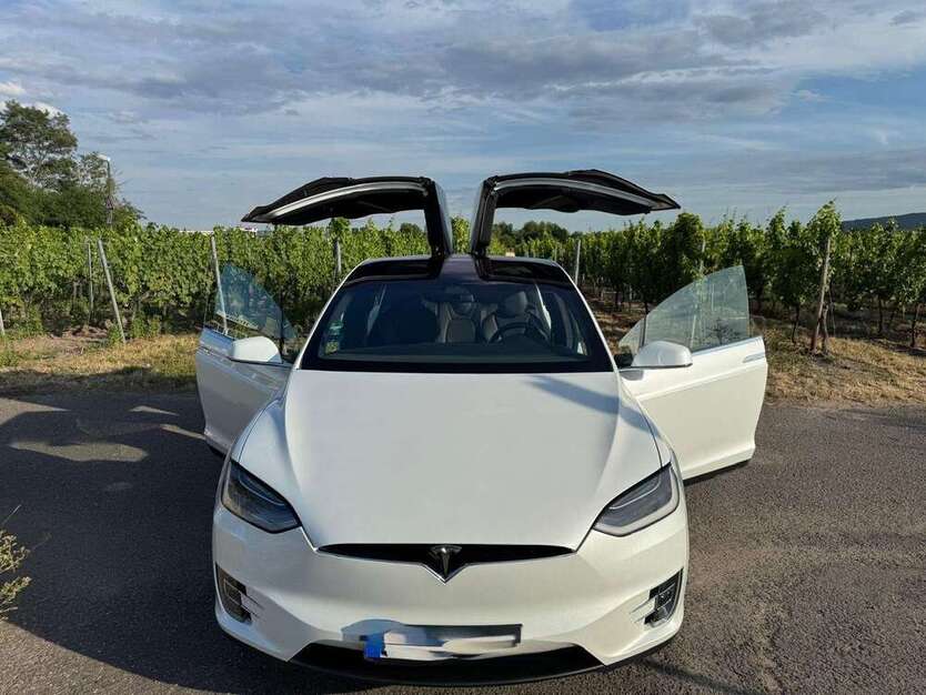 Model X