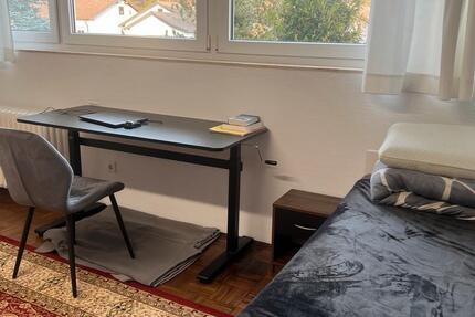 Wohnung Kaiserslautern Einsiedlerhof - 1 Zimmer, 32 m&sup2;, 530&euro; | Angebot:26152686