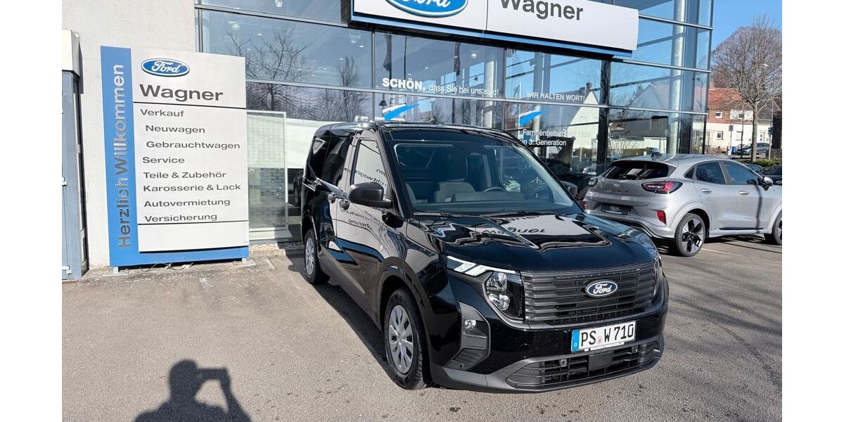 Ford Transit 1.500 km 29.990 &euro; Pirmasens 66953