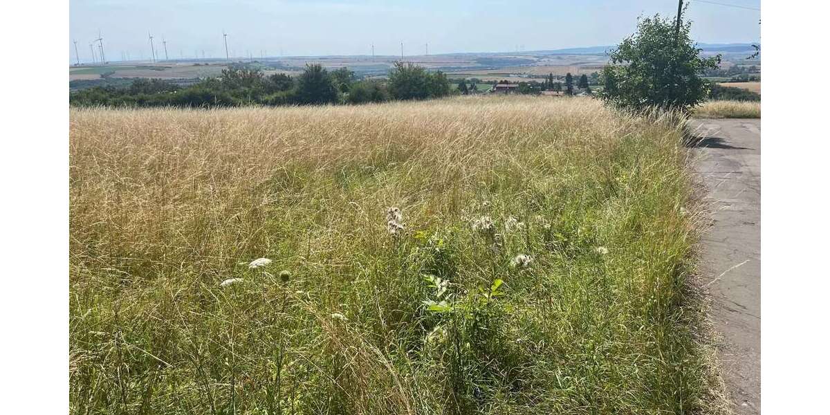Grundstück Kirchheimbolanden - 420.000&euro; | Angebot:22972518