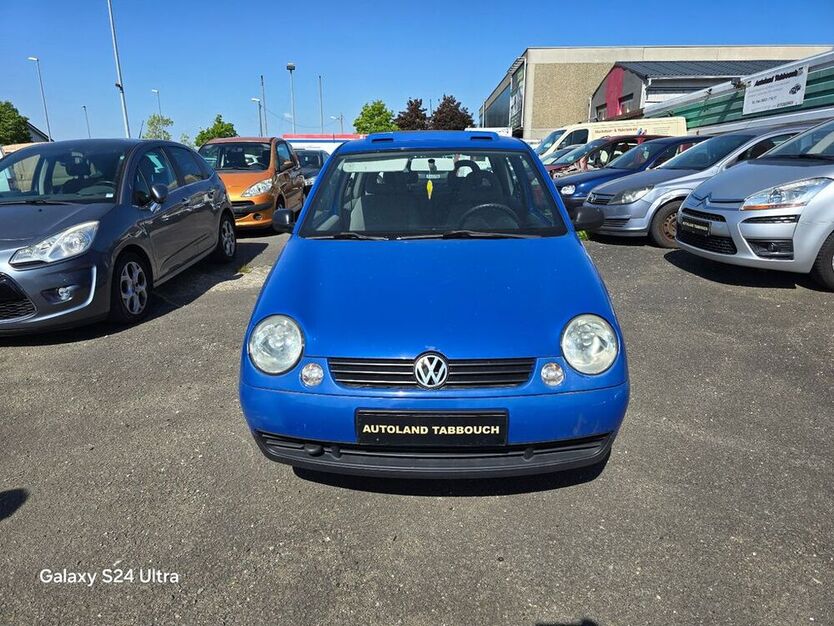 Lupo