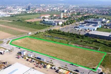 Grundstück Neustadt an der Weinstraße - 3.500.000&euro; | Angebot:26695988