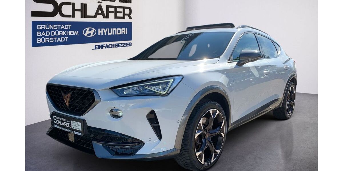 Cupra Formentor 57.312 km 28.880 &euro; Bad Dürkheim 67098