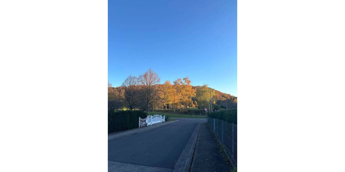 Grundstück Schiersfeld - 31.900&euro; | Angebot:25731940