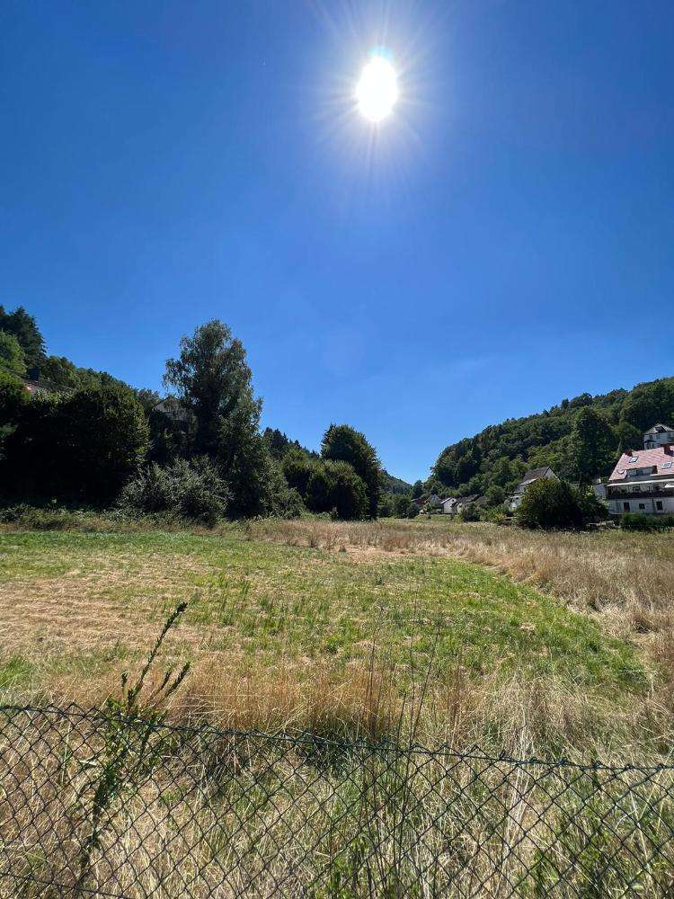 Grundstück zu verkaufen in Pirmasens 99.000 € 23432 m²